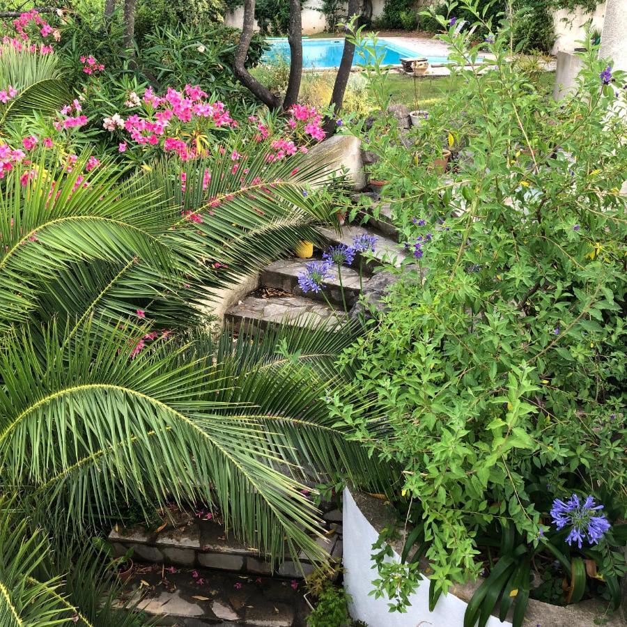 L'Appartement - Jardin Secret Marseille Kültér fotó