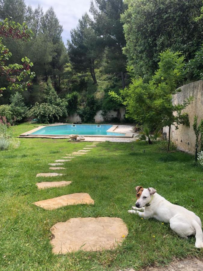 L'Appartement - Jardin Secret Marseille Kültér fotó