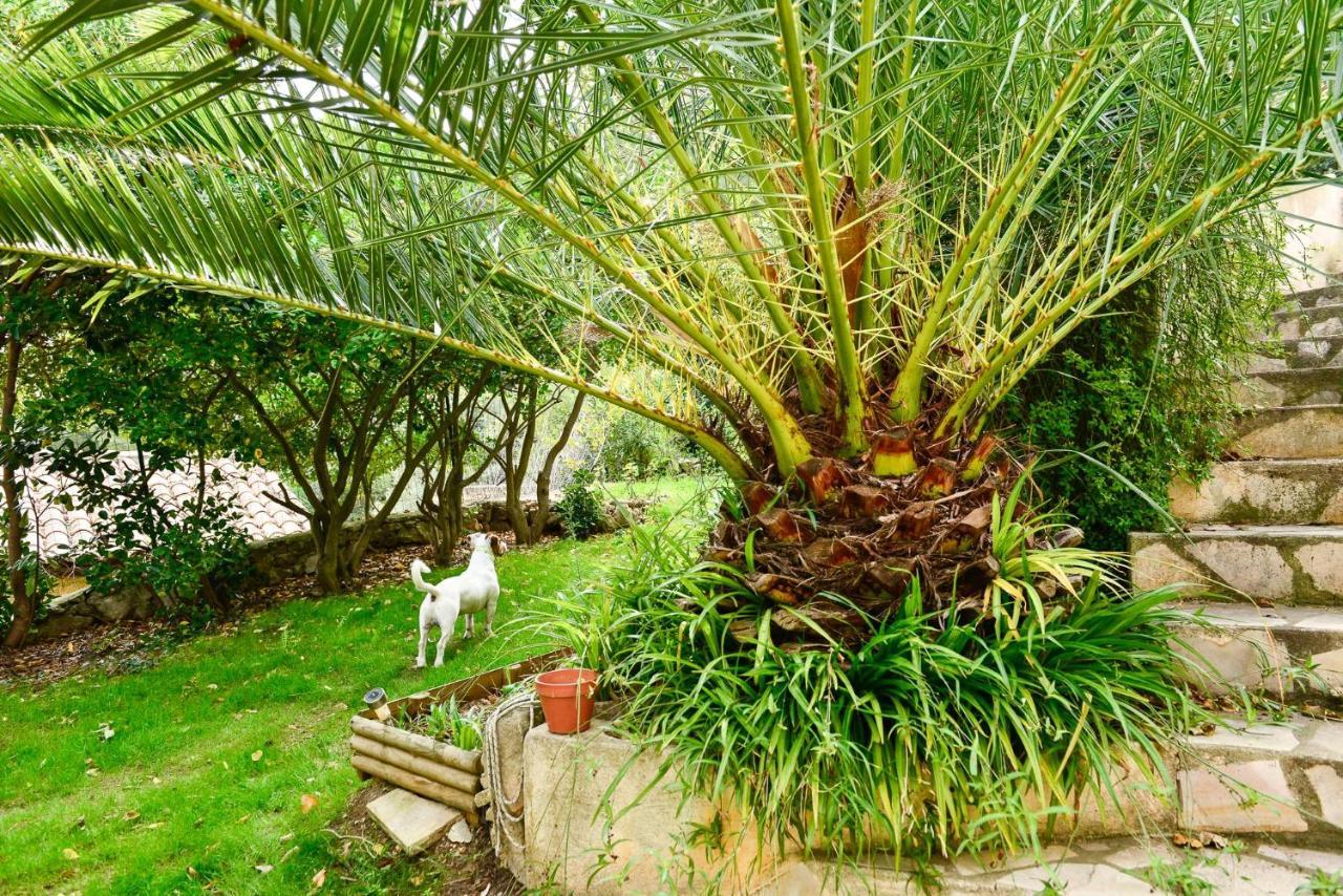L'Appartement - Jardin Secret Marseille Kültér fotó